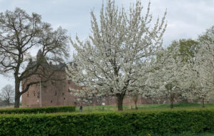 Kasteel Doornenburg